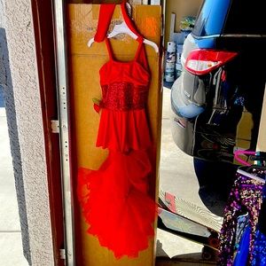 DANCE COSTUME WITH ROSE AND TULE SKIRT